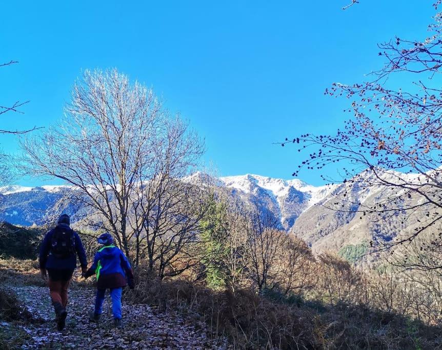 Maison 13 Pers A 10Mn De Luchon Cazaux-Layrisse Esterno foto