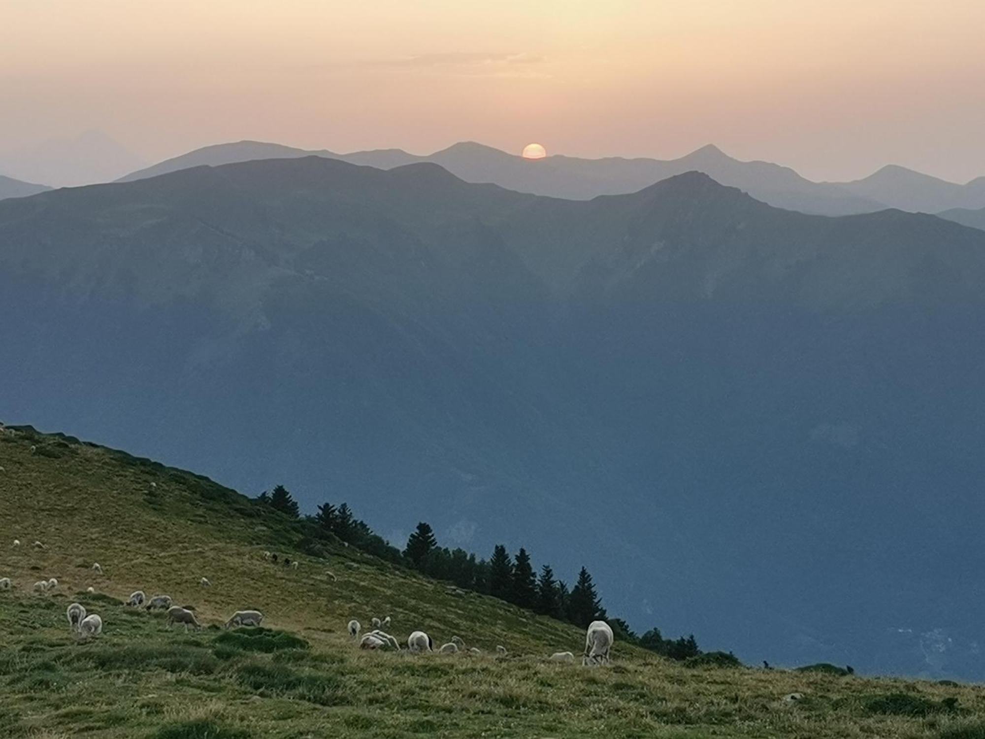 Maison 13 Pers A 10Mn De Luchon Cazaux-Layrisse Esterno foto